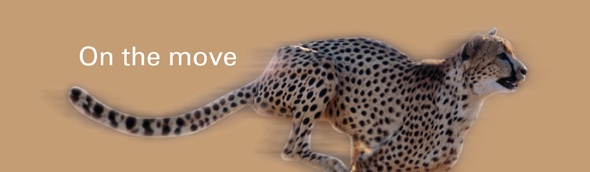 Opportunities for investment, finance and growth in Africa's roads sector - Africa Roads 2012