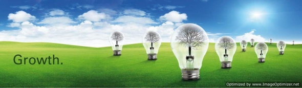 Investment, development and innovation for utilities, agribusiness, gas producers and developers - BioEnergy World Africa 2012