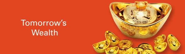 Wealth management strategies for banks, wealth managers and partners - Mass Affluent World Asia 2012