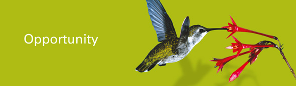 Value creation for private equity and investors - Private Equity World Africa