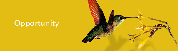 Value creation for private equity and investors - Private Equity World Latin America