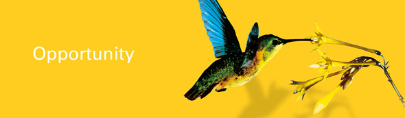 Value creation for private equity and investors - Private Equity World Mexico