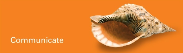Opportunity, innovation and strategy for fixed and mobile operators and investors - Telecoms World Africa 2012