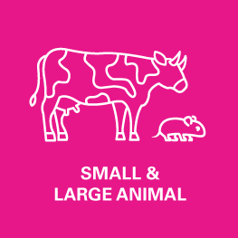 The VET Expo 2022, Small & Large Animal