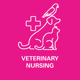 The VET Expo 2022, Veterinary Nursing