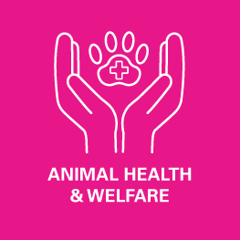 The VET Expo 2022, Animal Health & Welfare