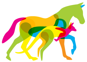 The VET Expo 2023