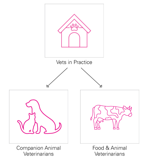 The VET Expo 2022, Who Attends? Industries